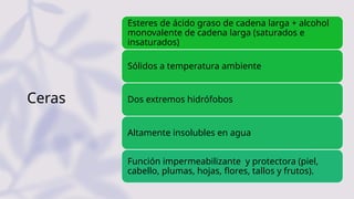 Ceras
Esteres de ácido graso de cadena larga + alcohol
monovalente de cadena larga (saturados e
insaturados)
Sólidos a temperatura ambiente
Dos extremos hidrófobos
Altamente insolubles en agua
Función impermeabilizante y protectora (piel,
cabello, plumas, hojas, flores, tallos y frutos).
 