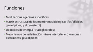 Funciones
• Modulaciones génicas específicas
• Matriz estructural de las membranas biológicas (fosfolípidos,
glucolípidos, y el colesterol).
• Depósitos de energía (triacilglicéridos)
• Mecanismos de señalización intra e intercelular (hormonas
esteroideas, glucolípidos)
 