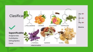 Clasificación
Saponificables
Acilgliceroles
Fosfolípidos
Esfingolípidos
Ceras
No saponificables
Terpenos
Esteroides
Prostaglandinas
Compuestos
relacionados
 