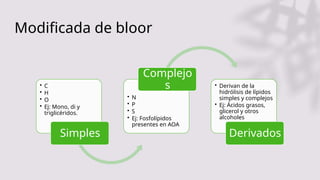 Modificada de bloor
• C
• H
• O
• Ej: Mono, di y
triglicéridos.
Simples
• N
• P
• S
• Ej: Fosfolípidos
presentes en AOA
Complejo
s • Derivan de la
hidrólisis de lípidos
simples y complejos
• Ej: Ácidos grasos,
glicerol y otros
alcoholes
Derivados
 