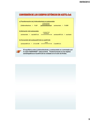 09/09/2012




a) Transformación de b-hidroxibutirato en acetoacetato
                                   b-hidroxibutirato
                                   deshidrogenasa
  b-hidroxibutirato + NAD+                             acetoacetato + NADH



b) Activación del acetoacetato
                                    b-cetoacil CoA
                                      transferasa
  acetoacetato + succinil-CoA                          acetoacetil-CoA + succinato



b) Conversión del acetoacetil-CoA en acetil-CoA
                                         tiolasa
  acetoacetil-CoA + 2 CoA-SH                           2 acetil-CoA



     El equilibrio entre b-hidroxibutirato y acetoacetato es controlado por
     la razón NADH/NAD+ mitocondrial. Posteriormente en los tejidos
     extrahepáticos el acetil-CoA es oxidado en el ciclo de Krebs.




                                                                                             9
 