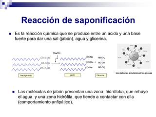 Reacción de saponificación
◼ Es la reacción química que se produce entre un ácido y una base
fuerte para dar una sal (jabón), agua y glicerina.
◼ Las moléculas de jabón presentan una zona hidrófoba, que rehúye
el agua, y una zona hidrófila, que tiende a contactar con ella
(comportamiento anfipático).
Los jabones emulsionan las grasas
 
