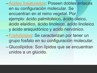 – Ácidos Insaturados: Poseen dobles enlaces
  en su configuración molecular. Se
  encuentran en el reino vegetal. Por
  ejemplo: ácido palmitoleico, ácido oleico,
  ácido elaídico, ácido linoleico, ácido linoleico
  y ácido araquidónico y acido nervónico.
– Fosfolípidos: Se caracterizan por tener un
  grupo fosfato en su configuración molecular.
– Glucolípidos: Son lípidos que se encuentran
  unidos a un glúcido.
 
