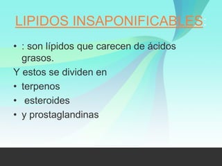 LIPIDOS INSAPONIFICABLES:
• : son lípidos que carecen de ácidos
  grasos.
Y estos se dividen en
• terpenos
• esteroides
• y prostaglandinas
 
