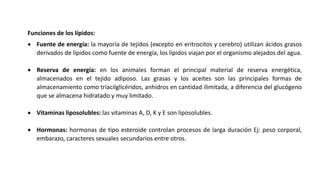 Funciones de los lípidos:
 Fuente de energía: la mayoría de tejidos (excepto en eritrocitos y cerebro) utilizan ácidos grasos
derivados de lípidos como fuente de energía, los lípidos viajan por el organismo alejados del agua.
 Reserva de energía: en los animales forman el principal material de reserva energética,
almacenados en el tejido adiposo. Las grasas y los aceites son las principales formas de
almacenamiento como triacilglicéridos, anhidros en cantidad ilimitada, a diferencia del glucógeno
que se almacena hidratado y muy limitado.
 Vitaminas liposolubles: las vitaminas A, D, K y E son liposolubles.
 Hormonas: hormonas de tipo esteroide controlan procesos de larga duración Ej: peso corporal,
embarazo, caracteres sexuales secundarios entre otros.
 