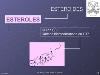 ESTEROIDES ESTEROLES OH en C3 Cadena hidrocarbonada en C17 