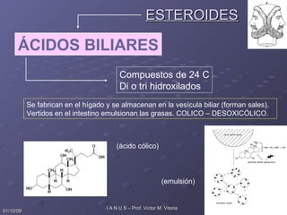 ESTEROIDES ÁCIDOS BILIARES Compuestos de 24 C Di o tri hidroxilados Se fabrican en el hígado y se almacenan en la vesícula biliar (forman sales). Vertidos en el intestino emulsionan las grasas. COLICO – DESOXICÓLICO. (ácido cólico) (emulsión) 