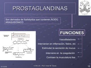 PROSTAGLANDINAS Son derivados de fosfolípidos que contienen ÁCIDO ARAQUIDÓNICO FUNCIONES Vasodilatadores Intervienen en inflamación, fiebre, etc Estimulan la secreción de mucus Interviene en  la coagulación  Contraen la musculatura lisa 