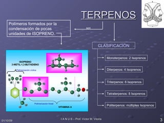 TERPENOS Polímeros formados por la condensación de pocas unidades de ISOPRENO. son Polimerización lineal Polimerización cíclica CLASIFICACIÓN Monoterpenos: 2 Isoprenos Diterpenos: 4 Isoprenos Triterpenos: 6 Isoprenos Tetraterpenos: 8 Isoprenos Politerpenos: múltiples Isoprenos 