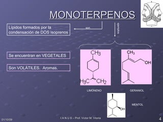 MONOTERPENOS Lípidos formados por la condensación de DOS isoprenos son ejemplos LIMONENO GERANIOL Se encuentran en VEGETALES Son VOLÁTILES.  Aromas. MENTOL 