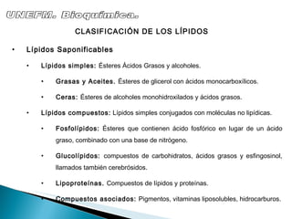 Lípidos Saponificables Lípidos simples:  Ésteres Ácidos Grasos y alcoholes. Grasas y Aceites.  Ésteres de glicerol con ácidos monocarboxílicos. Ceras:  Ésteres de alcoholes monohidroxilados y ácidos grasos. Lípidos compuestos:  Lípidos simples conjugados con moléculas no lipídicas. Fosfolípidos:  Ésteres que contienen ácido fosfórico en lugar de un ácido graso, combinado con una base de nitrógeno. Glucolípidos:  compuestos de carbohidratos, ácidos grasos y esfingosinol, llamados también cerebrósidos. Lipoproteínas.  Compuestos de lípidos y proteínas. Compuestos asociados:  Pigmentos, vitaminas liposolubles, hidrocarburos. CLASIFICACIÓN DE LOS LÍPIDOS UNEFM. Bioquímica. 