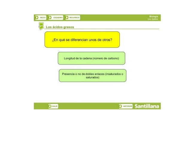 3 llwlCIU ñ ESDLtM-ï T3 l>tCUIiSUS

’i  9’? '5°5

¿En qué se diferencian unos de otros? 

Longitud de la cadena (número de...