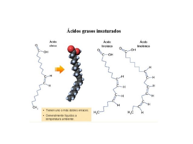 Ácidos grasos insaturados

Ácido Ácido Ácido
(k Oleico " .  llnoláco ﬁnolérico


 

 y  7x1 T‘ ' yq/ H
. .C! _H  /  /H .  ...