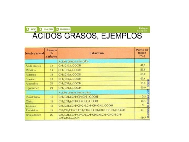 ‘ vu:  ‘g L‘_¿‘l_L", ’. l ¿LL

  ÁCIDOS GRASOS,  EJEMPLOS

Átomos
Nombre trivial de Estructura
carbono

durara guia,  ugzi...