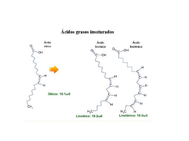 Ácidos grasos insaturados

Ácido Ácido Ácido

 °| =ÍCO linoláco o Iinolérico



9oH  %C"°H
4 ‘s OH I_

/   l

x?  I,  A

l...