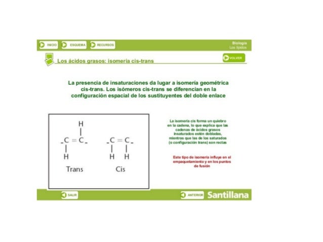 r a
3 mscuo 3 ESDUtM/ t Dlztcunzsos

y. 

Los ácidosgrasos:  isomeria cis-trans

La presencia de insaturaciones da lugar a...