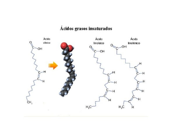 Ácidos grasos insaturados

Ácido Ácido Ácicb
(k °'= ¡=° linolaco o ¡mlérico
C0H K 
a c— OH | 
> n» Lï Ï H 