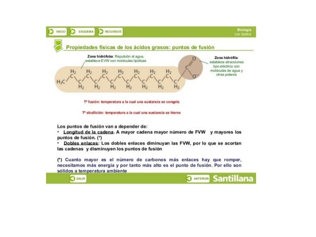 .1 — _= —_. _._—— —— m

E v ur.  F3 tauusrr.  ‘l lt. ;l, i‘¿¿‘; 

Propiedades fisicas de los ácidos grasos:  puntos de fus...