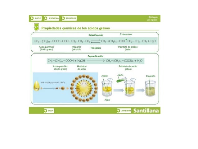 ) INICIO!  D EsouEMAl Dkscuusosl

(E.  Propiedades guímicas de los ácidos grasos

E nlaoe este! 

1

CH¿-(CH; )u*COOH + HO...