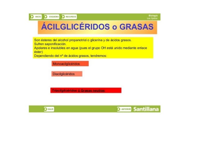3 tsuutrm ñi-ztcuiisos
ACILGLICÉRIDOS o GRA AS

Son ésteres del alcohol propanotriol o glicerina y de ácidos grasos. 

Suf...