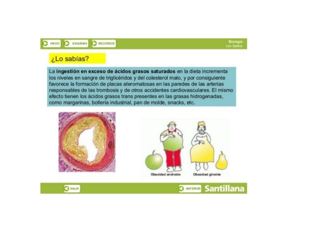 "i

 natura

inicial

i‘ ¡»bﬁiﬂïbïjï

¿Lo sabías? 

La ingestión en exceso de ácidos grasos saturados en la dieta incremen...