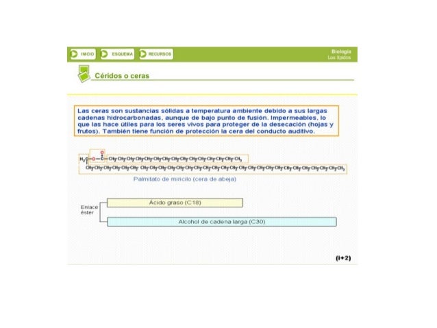 i‘) lnrïli;   tï-DLEWM  num-regia

"V Cérídos o Cefa_S>

Las ceras son sustancias sólidas a temperatura ambiente debido a ...