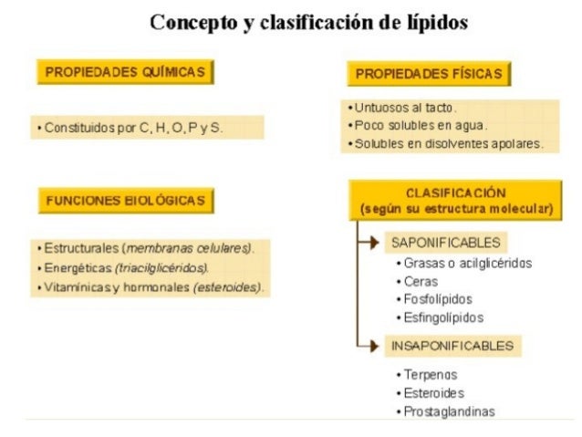 Concepto y clasificación de lípidos

PROPIEDADES QUÍhHCAS

- Constitundos pc’ C.  H,  O.  P y S. 

FUNCIONES EIOLOGICAS

-...