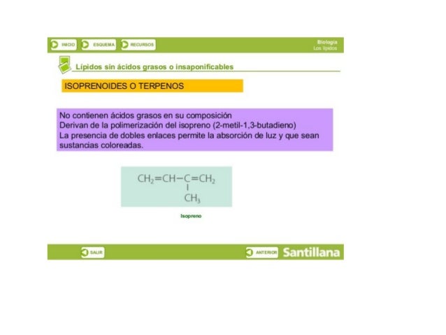 a:  ya
F lLElU ñ tbüLtﬁl-K f} l-kCUl-Zbljb

" _Lipidos sin ácidos grasos o insaponificables

ISOPRENOIDES O TERPENOS

No c...