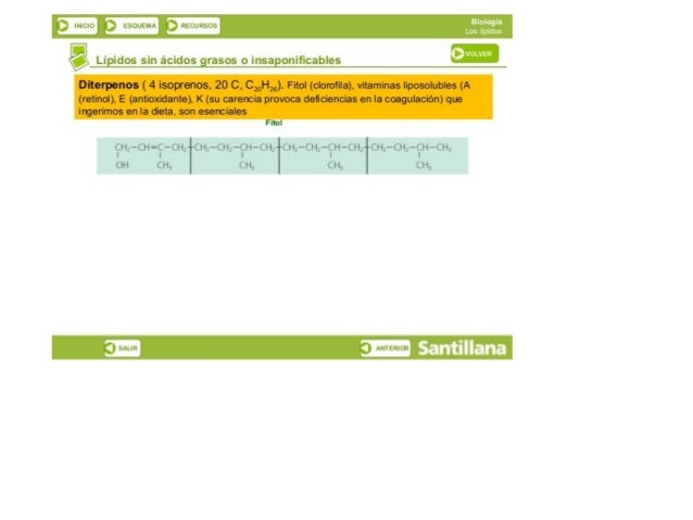 f, 

nui;  P‘ kbuLtHl/ A

ﬁ lvtuLlvt-iï: 

“Lipﬂqs __s¡n_. ác¡d°s 9F35F’.5.¿¡”53P. °'1f¡°_3,9l°5

Dlterpenos ( 4 isoprenos...