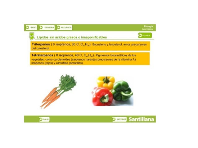 P‘?  lltlljlfJ j kbÜLltlfﬁ ﬁlrtLLlïbíjïl

"V Lípldos sin ácidos grasos o insggonificables

Trlterpenos (6 isoprenos,  30 C...