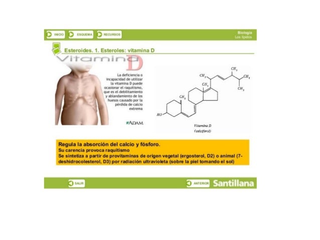 ___.  lLl-Llíj  tb-ÜLEHÍK PELLN“ '-

 

" Esteroides.  1."Estero_lcs:  vitamina! )

La dciiclvncia o

lñCaDJOdBd dc utiliz...