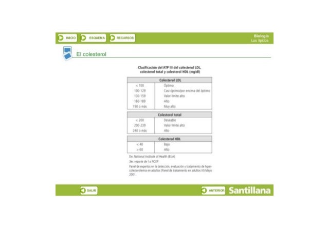 ESQUEMA |  RECURSOS

   

EI colesterol

Clasiﬁcacion don" m «¡colesterol un. 
numeral total y colesterol |10|.  (midi)

J...