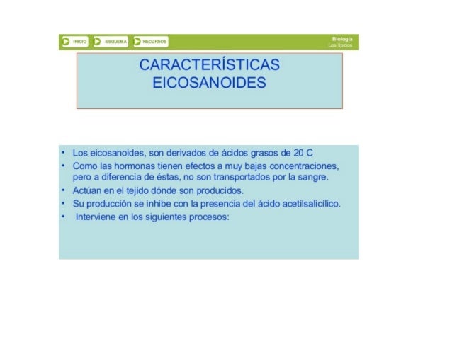 3 INICIO‘ 3 tSÜUtMA DRtCURSÜS

CARACTERÍSTICAS
EICOSANOIDES

' Los eicosanoides,  son derivados de ácidos grasos de 20 C

...