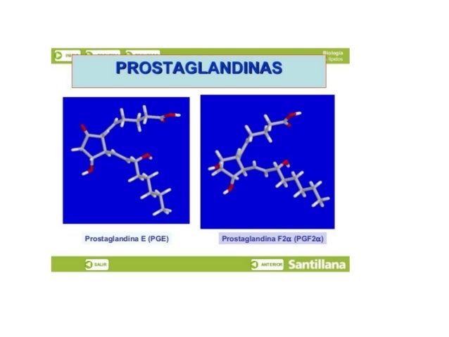 r1ñiﬁ HIO Ii! 

PROSTAGLANDINAS ‘ i

       

 

Prostaglandina E (PGE) Prostaglandina F2a (PGF2a)

SÉ e Santillana 