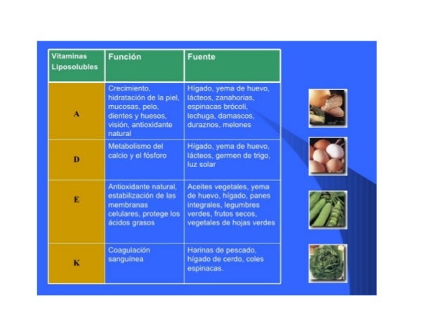 Vitaminas
Liposolubles

Crecimiento. 
hidratación de la piel, 
mucosas,  pelo, 
dientes y huesos, 
visión,  antioxidante
n...