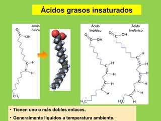 Ácidos grasos insaturados
• Tienen uno o más dobles enlaces.
• Generalmente líquidos a temperatura ambiente.
 