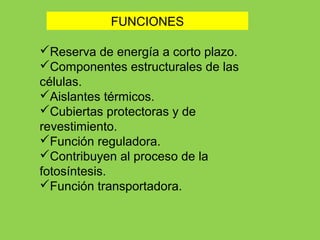 FUNCIONES
Reserva de energía a corto plazo.
Componentes estructurales de las
células.
Aislantes térmicos.
Cubiertas protectoras y de
revestimiento.
Función reguladora.
Contribuyen al proceso de la
fotosíntesis.
Función transportadora.
 