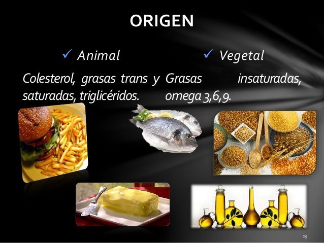 Combustible De Origen Vegetal Y Grasas Animales