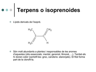 Terpens o isoprenoides <ul><li>Lípids derivats de l’isopré. </li></ul><ul><li>Són molt abundants a plantes i responsables ...