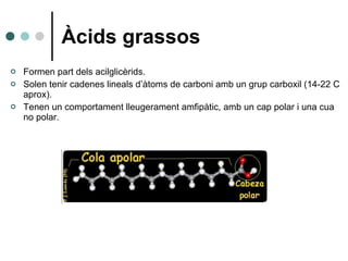 Àcids grassos <ul><li>Formen part dels acilglicèrids. </li></ul><ul><li>Solen tenir cadenes lineals d’àtoms de carboni amb...