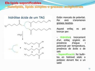 Sabons: AMFIPÀTIQUES. Molèculesbipolars: