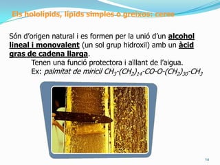 Parthidròfoba: cadena hidrocarbonada, enllaços de Van Der Waals ambmolèculeslipídiques.9ElsàcidsgrassosPropietatsfísiques:SOLUBILITAT:MICEL·LES: