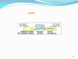 Monocapes: atrapa l’aire i té efecteespumós.