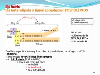 Bicapes: conté gotetetes de lípids i té efecteemulsionant o detergent.10ElsàcidsgrassosPropietatsfísiques:PUNT DE FUSIÓ:Elsàcidsgrassostendeixen a agrupar-se perquè entre elsgrupscarboxilss’estableixenenllaçosd’hidrogen, i en elstramslipòfils es formen enllaços per forces de Van der Waals.Àcidsgrassosinsaturats: punts de fusiómésbaixospels «colzes».