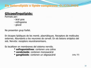 16ElslípidsElsheterolípids o lípidscomplexos: FOSFOLÍPIDSFosfoglicèrids