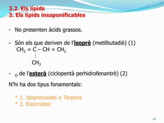 GlicoesfingolípidsPrincipalsmolècules de la BICAPA LÍPIDA de la memb. Pl.Són lípids saponificables en què es troben àtoms de fòsfor i de nitrogen. Unió de:glicerina
