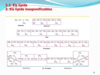 un àcid fosfòric (àcid fosfatídíc) 