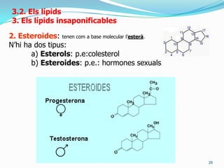 i aquest pot estar unit amb:	* aminoàcid	* aminoalcohol	* base nitrogenada