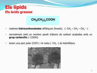 solubles en dissolvents orgànics (èter, cloroform, etc.)2ElslípidsClassificació:a) Lípids saponificables: contenen àcids grassos.* Simples:	- Acilglicèrids	- Cèrids* Complexos:	- Fosfoglicèrids	- Fosfoesfingolípids	- Glicoesfingolípidsb) Lípids insaponificables* Isoprenoides 		- Terpens		- Esteroides* Prostaglandines
