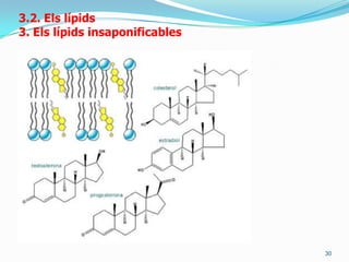 i aquest pot estar unit amb:	* aminoalcohol : alcohol amb grup amino (- NH2).Lecitina: fosfatidilcolinaabundant en el rovell de l’ou
